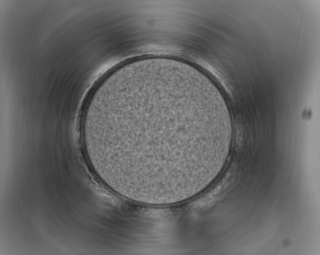 X0000099581074200806061621