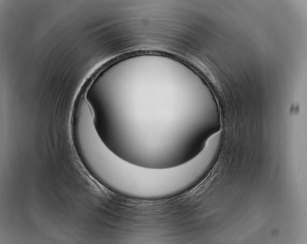 X0000099581076200806061621