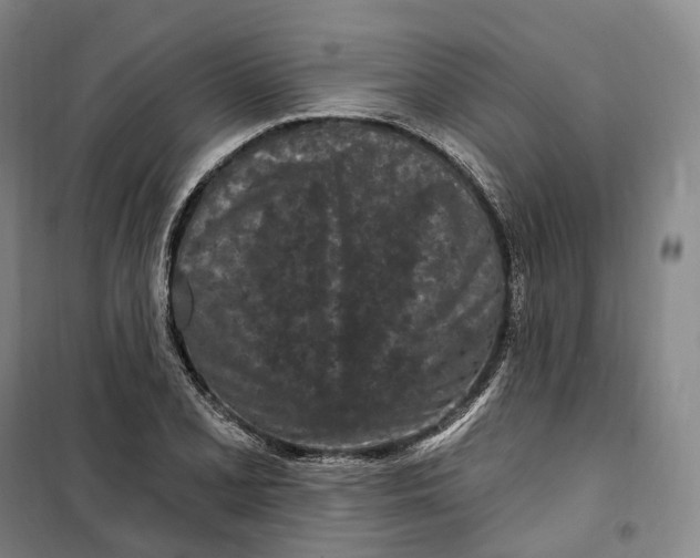 X0000099581077200806061621