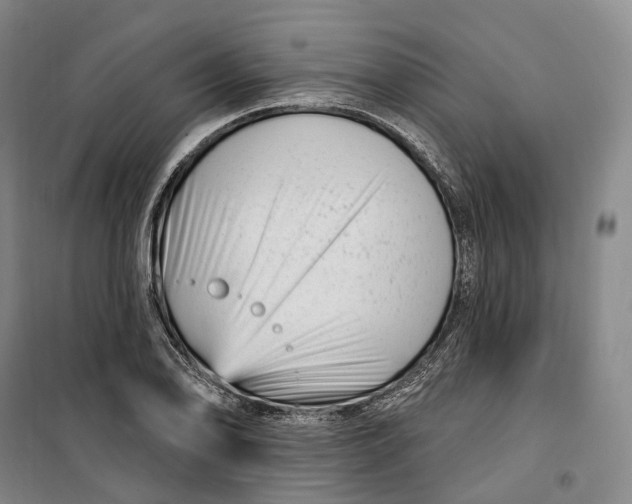 X0000099581078200806061621