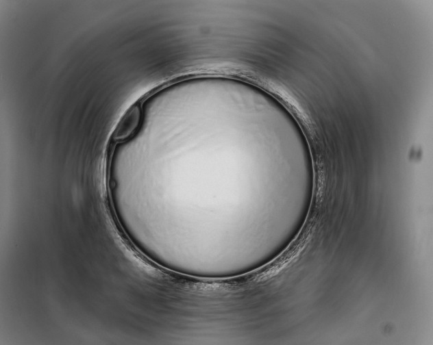 X0000099581079200806061621