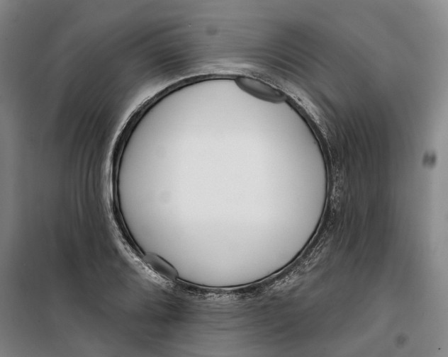 X0000099581080200806061621