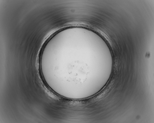 X0000099581082200806061621