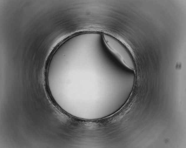 X0000099581085200806061621