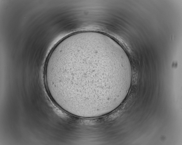 X0000099581086200806061621