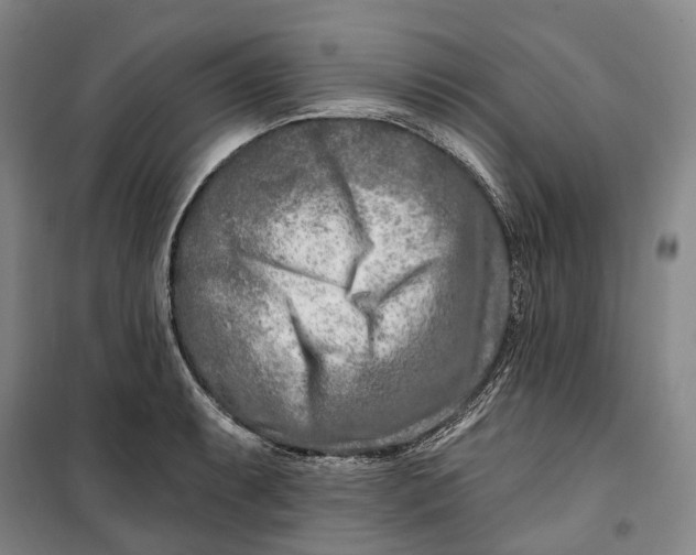 X0000099581087200806061621