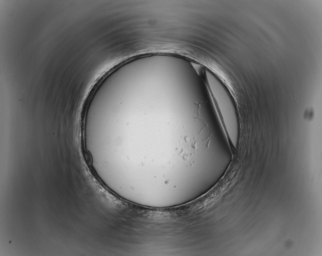 X0000099581088200806061621