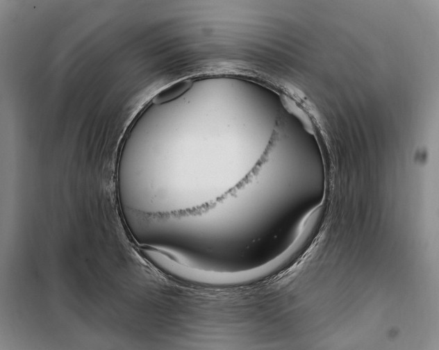 X0000099581089200806061621