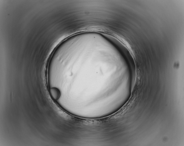 X0000099581091200806061621