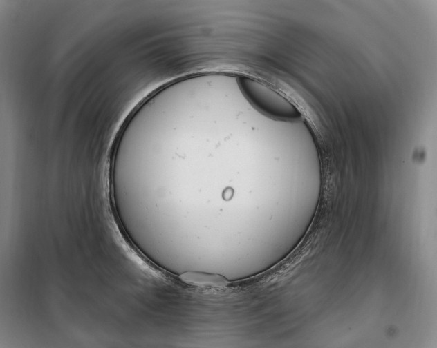 X0000099581092200806061621