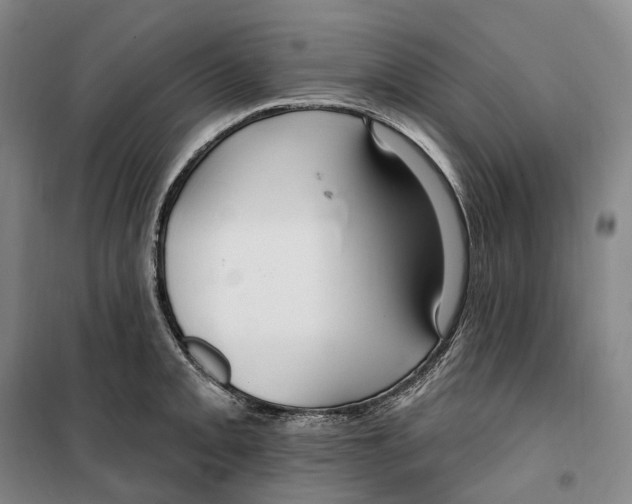 X0000099581093200806061621