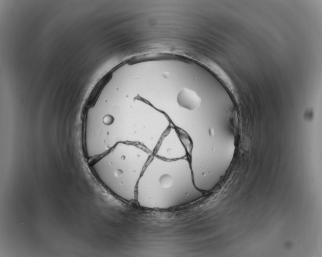 X0000099581096200806061621