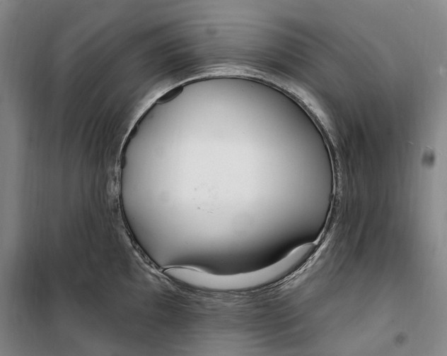 X0000099581097200806061621