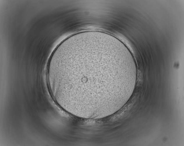 X0000099581098200806061621