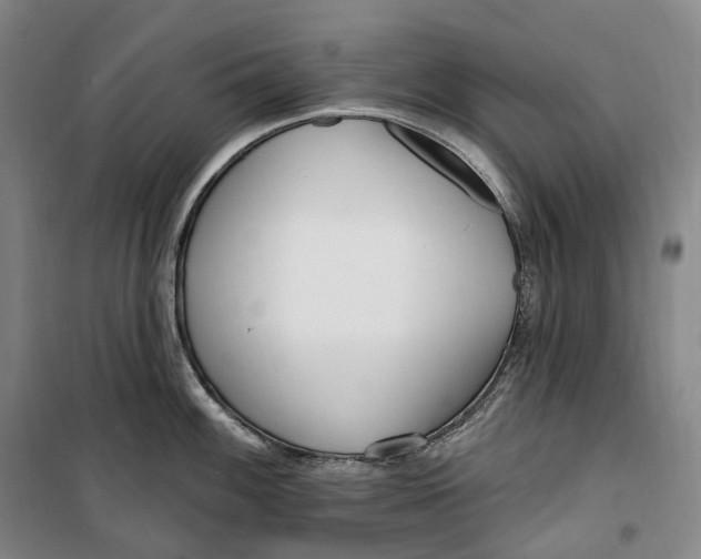 X0000099581100200806061621