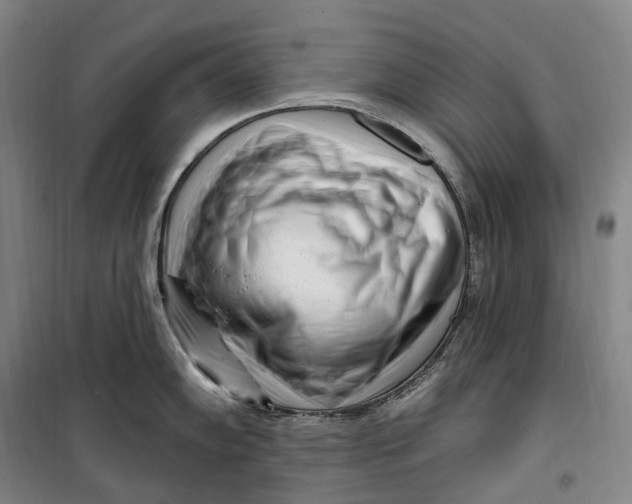 X0000099581102200806061621