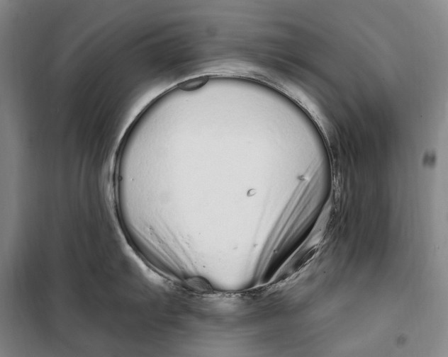 X0000099581103200806061621