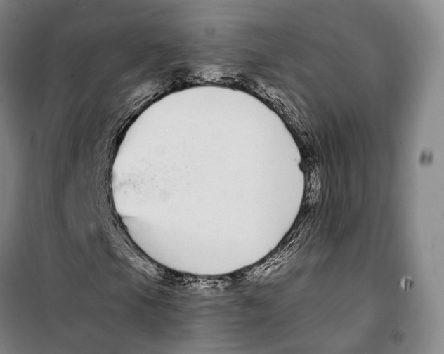 X0000099581105200806061620