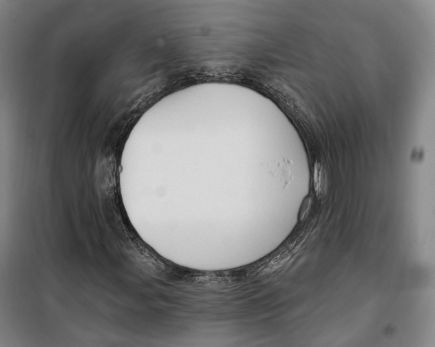 X0000099581107200806061620