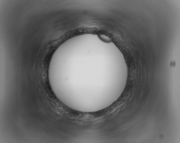 X0000099581109200806061620