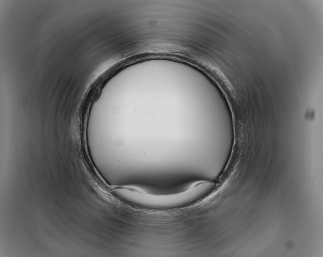 X0000099581114200806061620