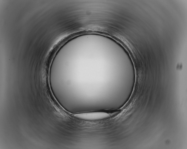 X0000099581115200806061620