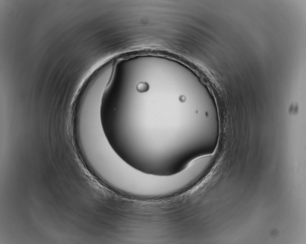 X0000099581118200806061620