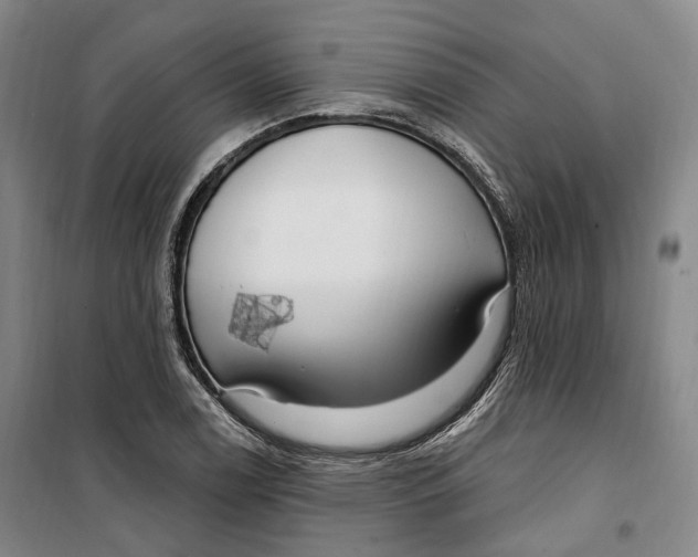 X0000099581122200806061620