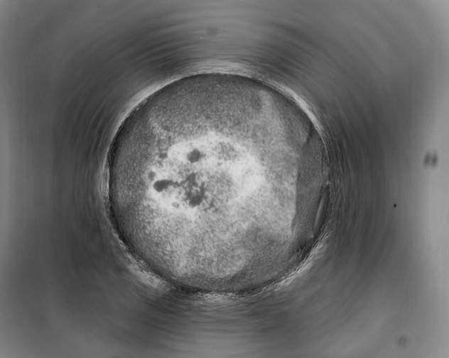 X0000099581125200806061620