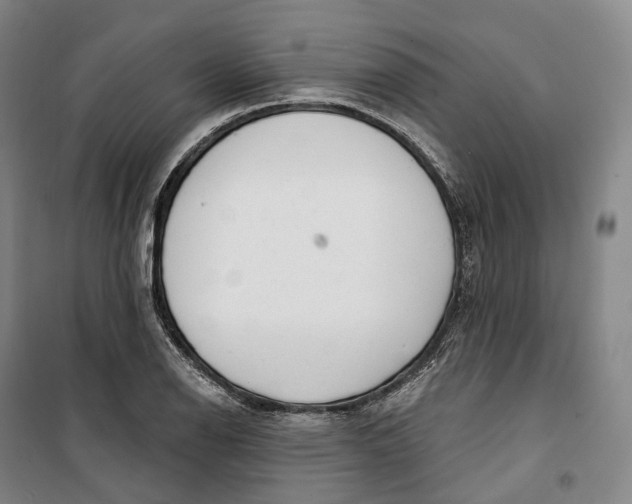 X0000099581126200806061620