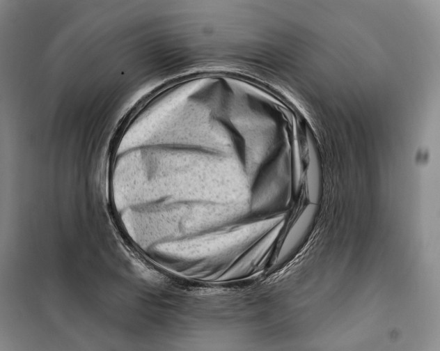 X0000099581127200806061620