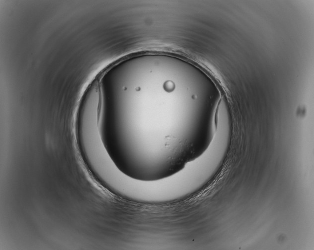 X0000099581128200806061620