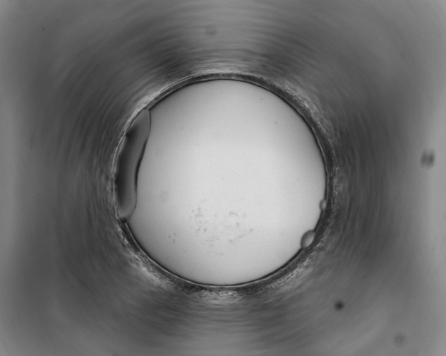 X0000099581129200806061620