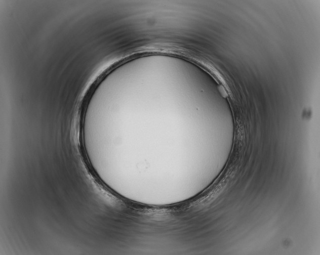 X0000099581131200806061620