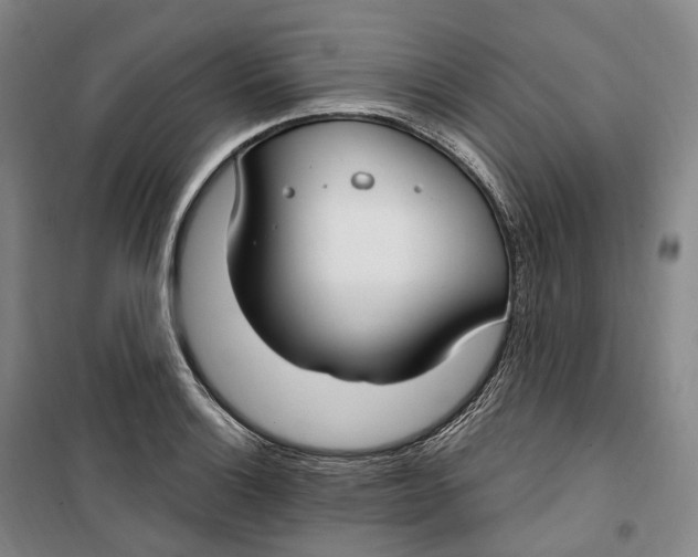 X0000099581132200806061620