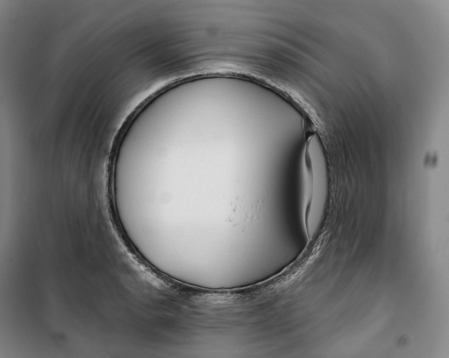 X0000099581134200806061621