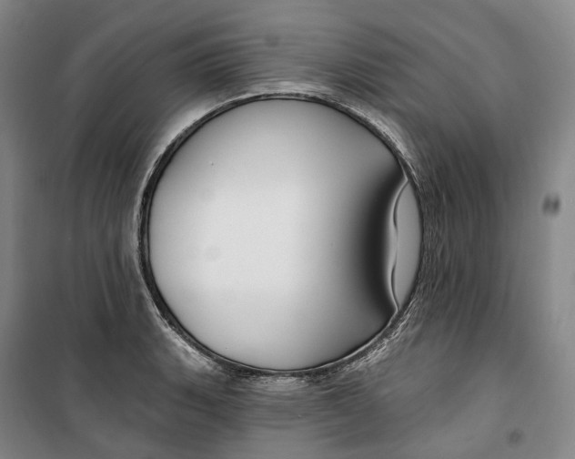 X0000099581135200806061621