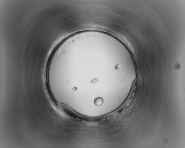 X0000099581136200806061621