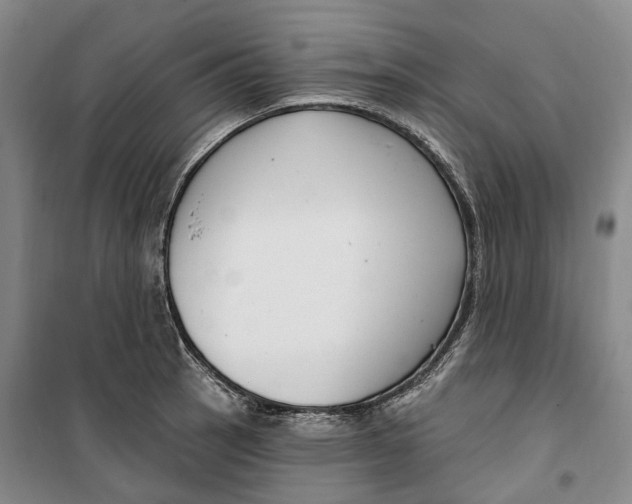 X0000099581137200806061621