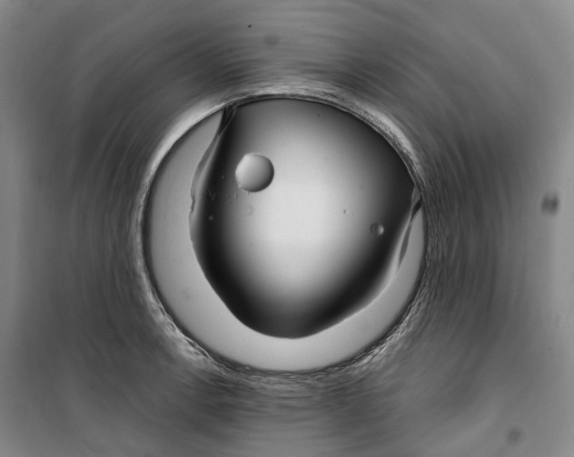 X0000099581138200806061621