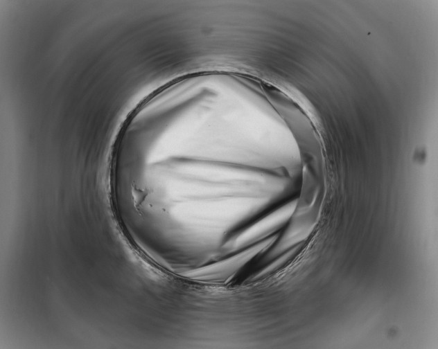 X0000099581144200806061621