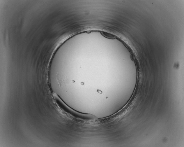 X0000099581145200806061621