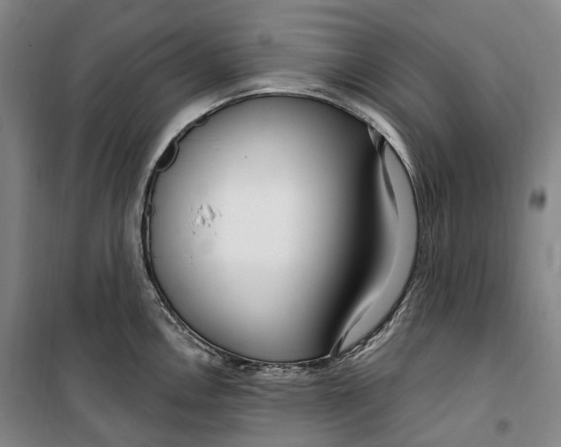 X0000099581146200806061621