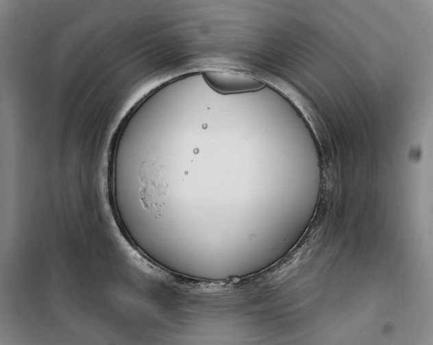 X0000099581147200806061621