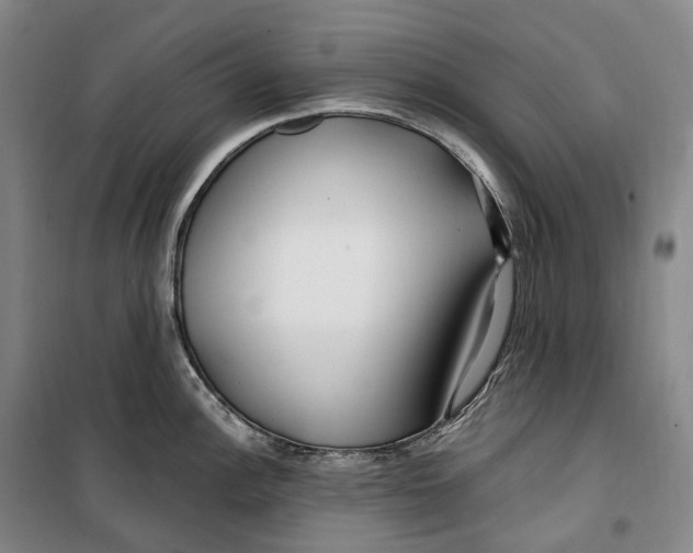 X0000099581148200806061621