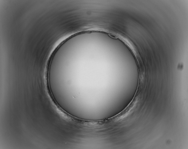 X0000099581149200806061621