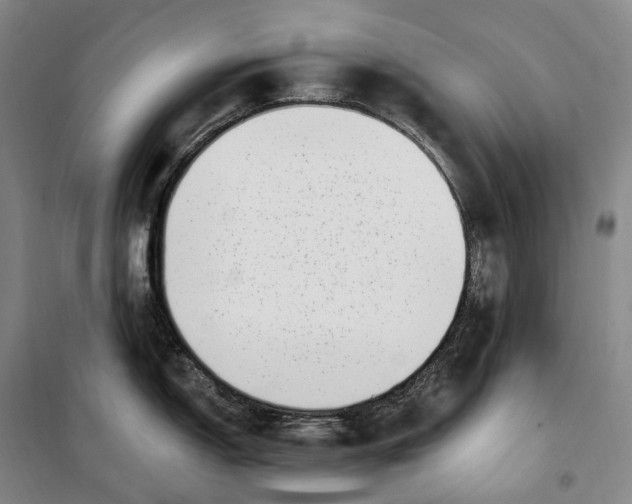 X0000099581150200806061621