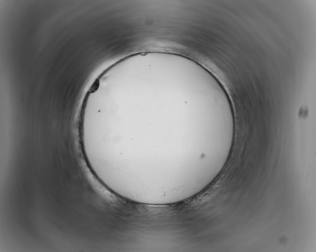 X0000099581152200806061621