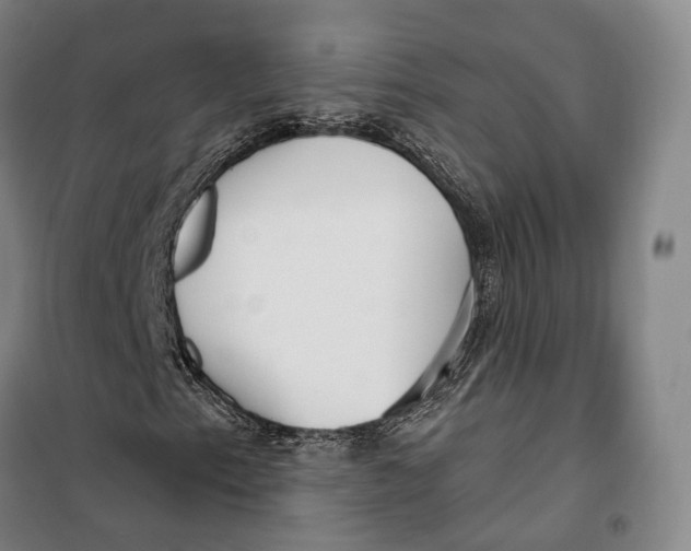 X0000099581153200806061620