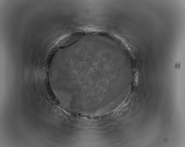 X0000099581157200806061620